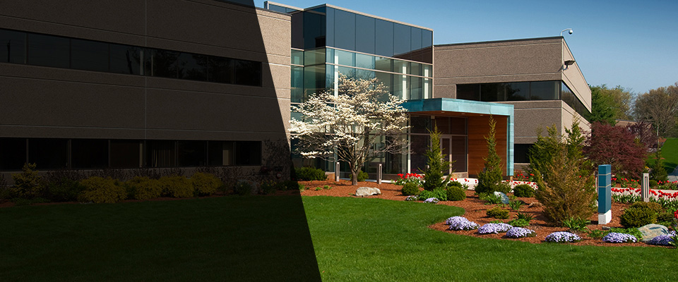 Cross City Landscapers