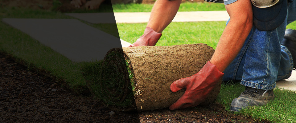 Cross City Landscapers